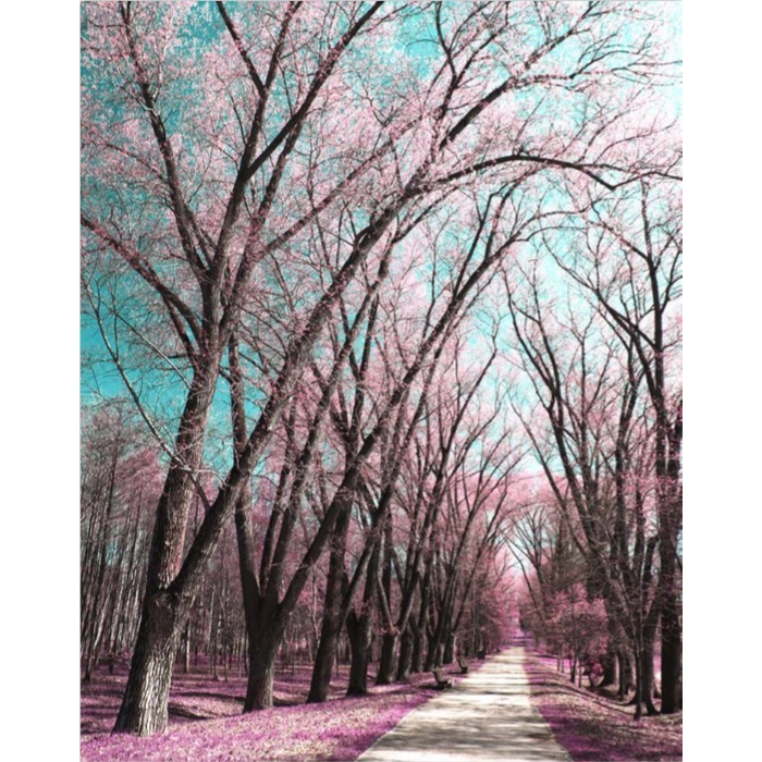 Digital Print Roller Blinds Nature, All Around Deco