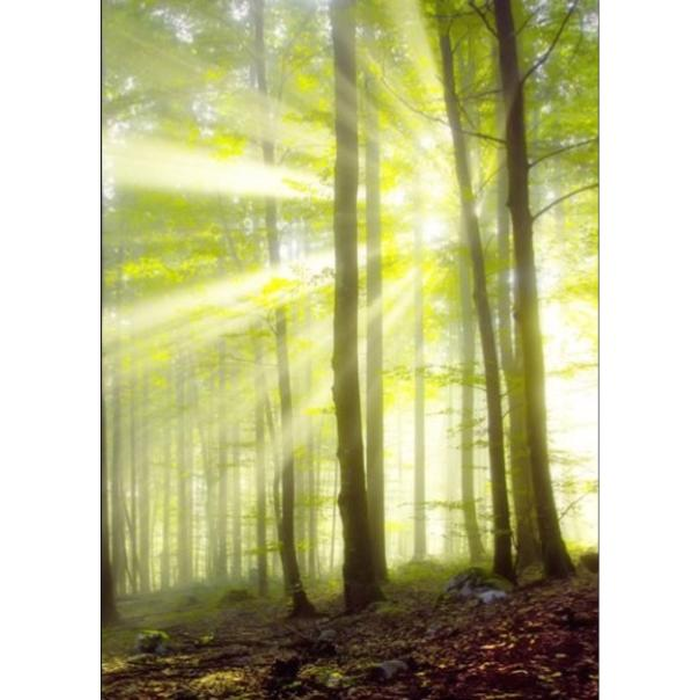 Digital Print Roller Blinds Nature, All Around Deco