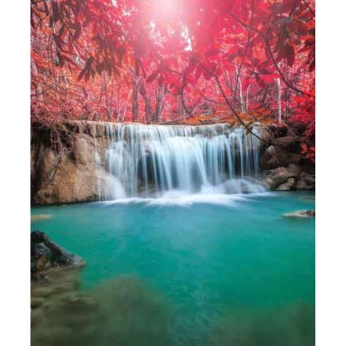 Digital Print Roller Blinds Nature, All Around Deco