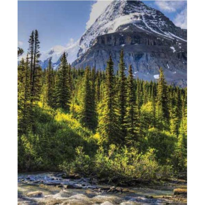 Digital Print Roller Blinds Nature, All Around Deco