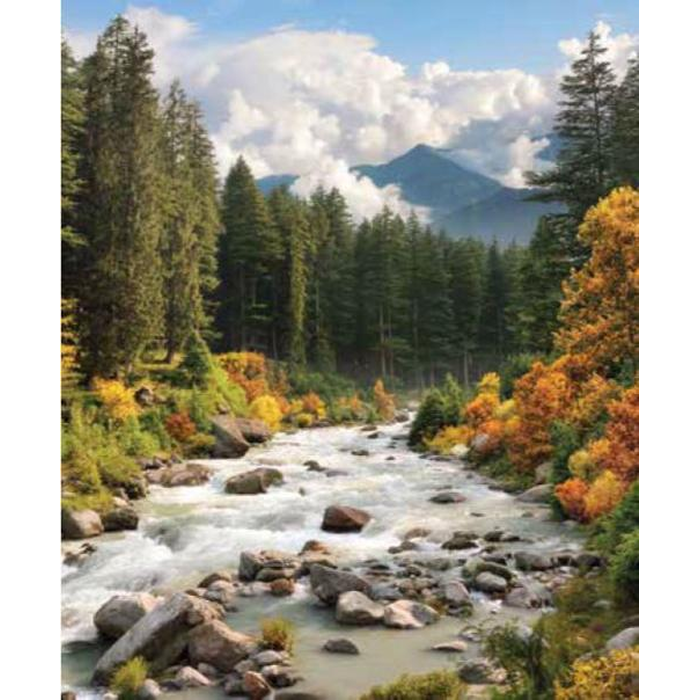 Digital Print Roller Blinds Nature, All Around Deco