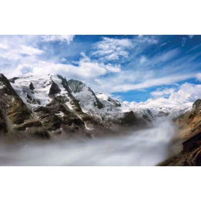 Digital Print Roller Blinds Nature, All Around Deco