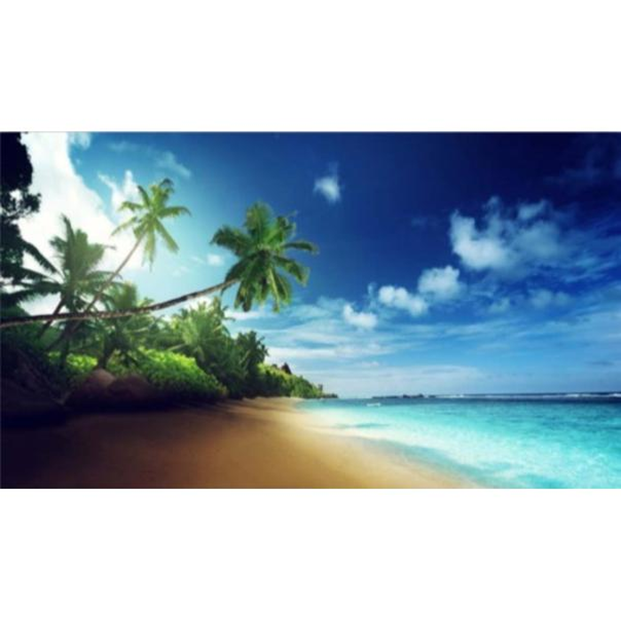 Digital Print Roller Blinds Nature, All Around Deco