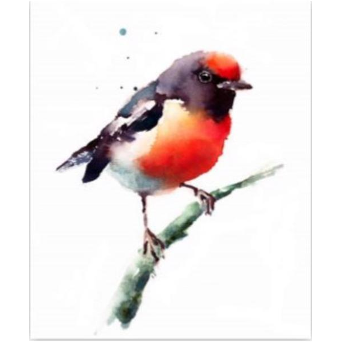 Digital Print Roller Blinds Art , All Around Deco