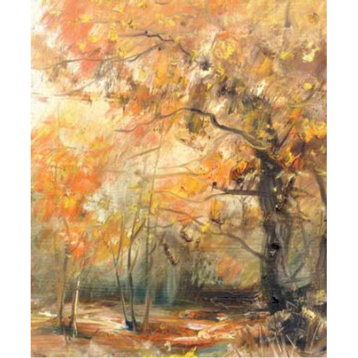 Digital Print Roller Blinds Art , All Around Deco