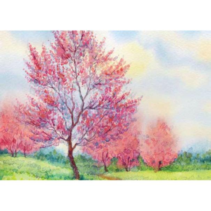 Digital Print Roller Blinds Art , All Around Deco