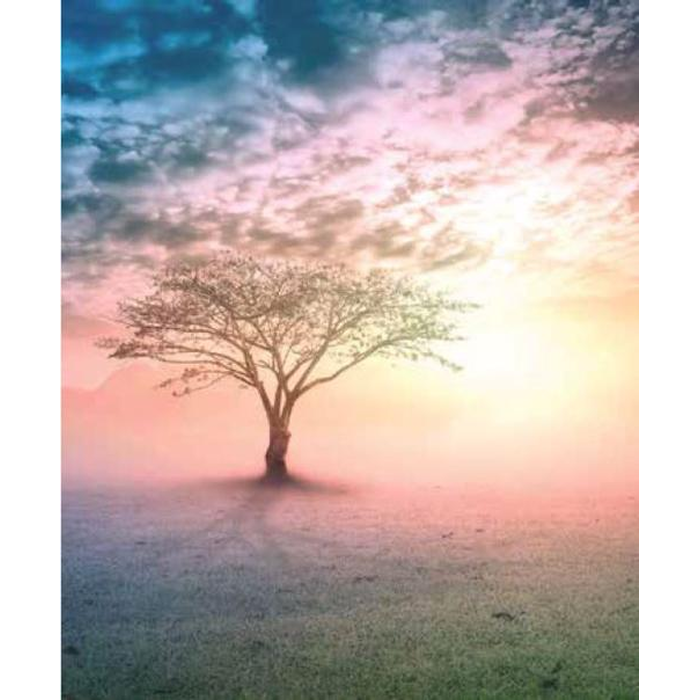 Digital Print Roller Blinds Nature, All Around Deco