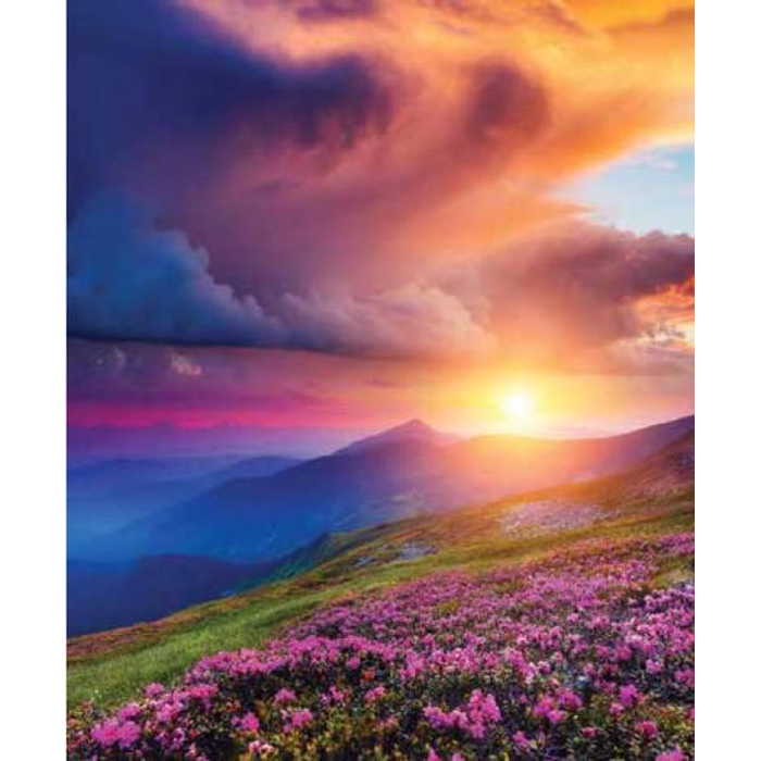 Digital Print Roller Blinds Nature, All Around Deco