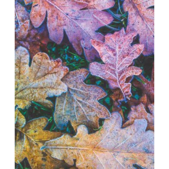 Digital Print Roller Blinds Nature, All Around Deco