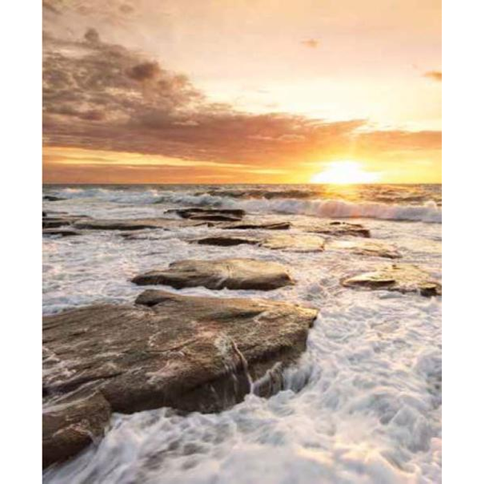 Digital Print Roller Blinds Nature, All Around Deco