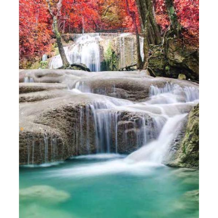 Digital Print Roller Blinds Nature, All Around Deco