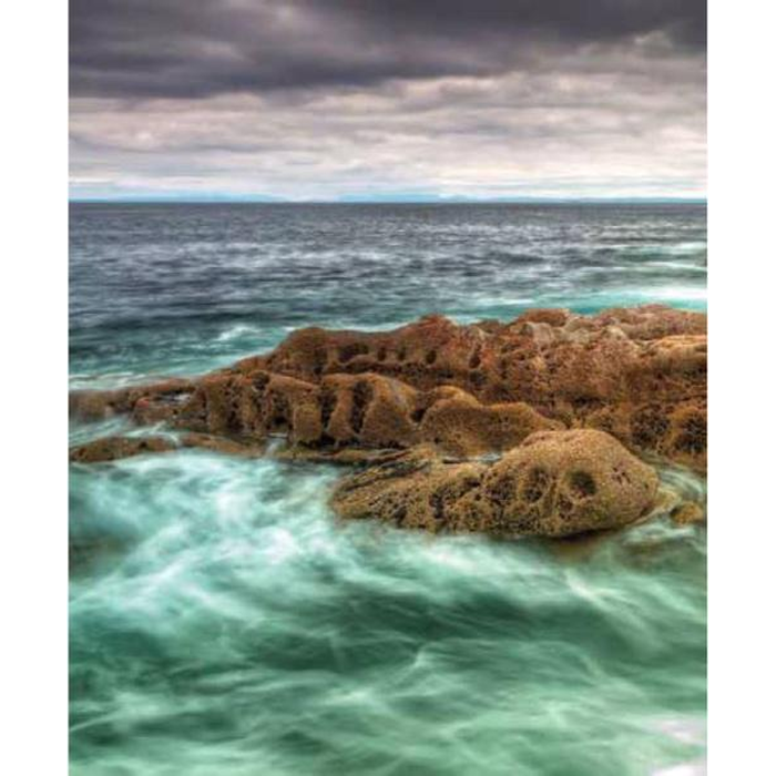 Digital Print Roller Blinds Nature, All Around Deco