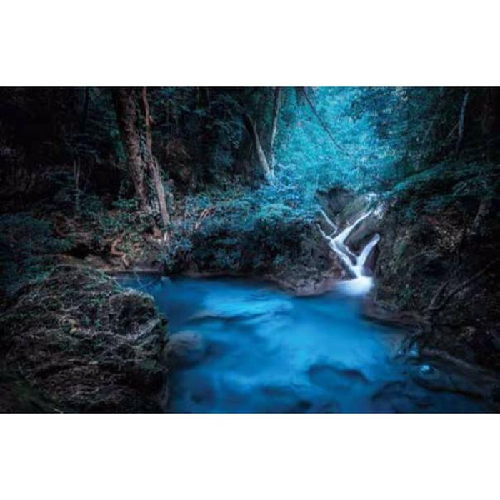 Digital Print Roller Blinds Nature, All Around Deco