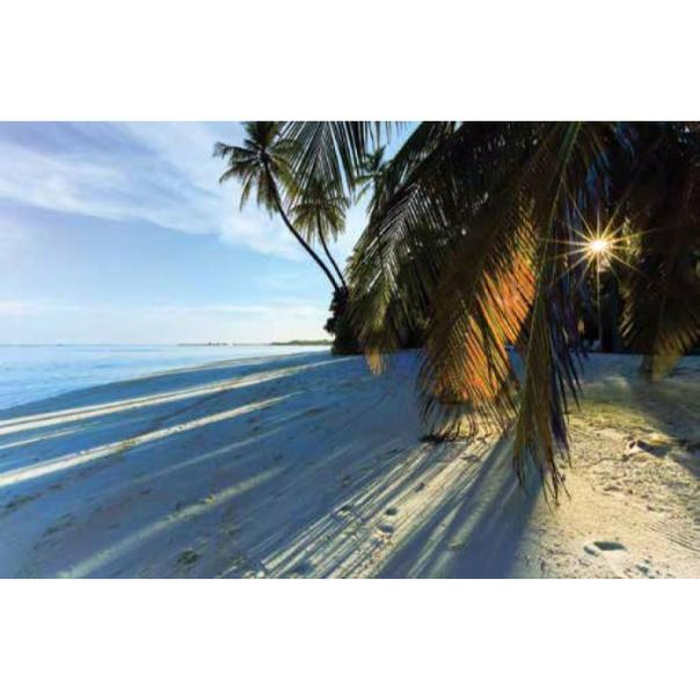 Digital Print Roller Blinds Nature, All Around Deco