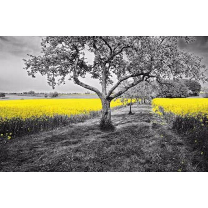 Digital Print Roller Blinds Nature, All Around Deco