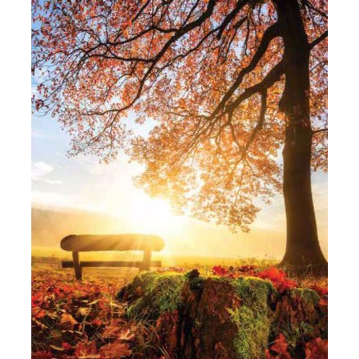 Digital Print Roller Blinds Nature, All Around Deco