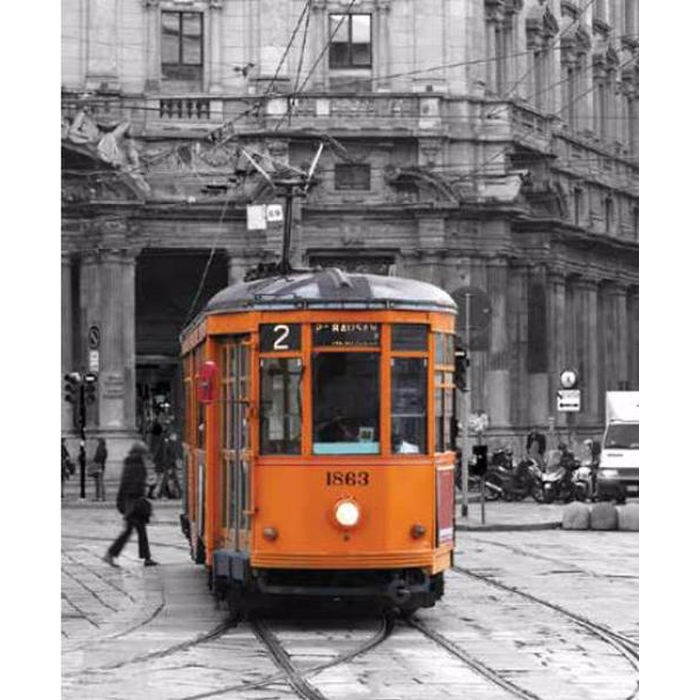 Digital Print Roller Blinds Cities , All Around Deco