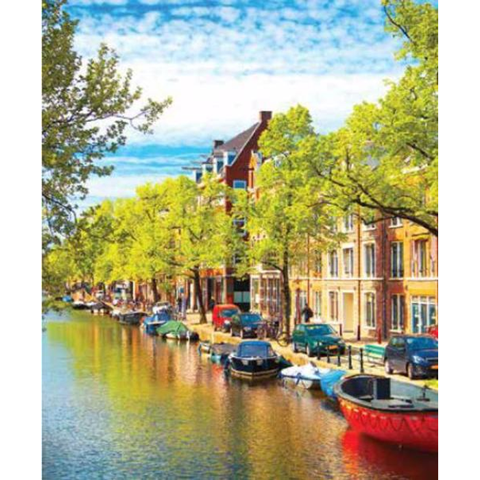 Digital Print Roller Blinds Cities , All Around Deco