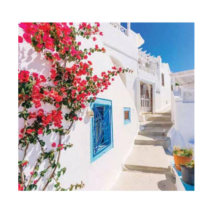 Digital Print Roller Blinds Cities , All Around Deco