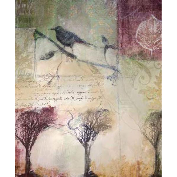 Digital Print Roller Blinds Art , All Around Deco