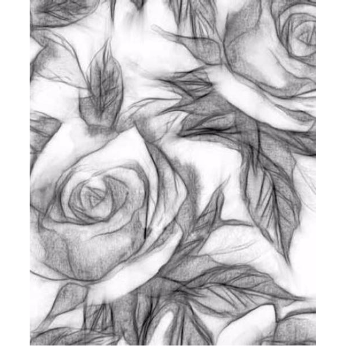 Digital Print Roller Blinds Art , All Around Deco