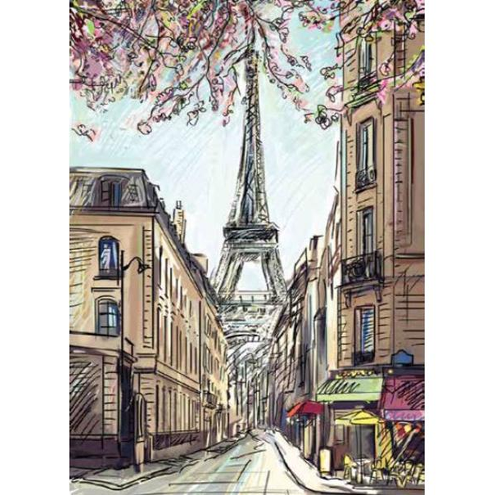 Digital Print Roller Blinds Art , All Around Deco