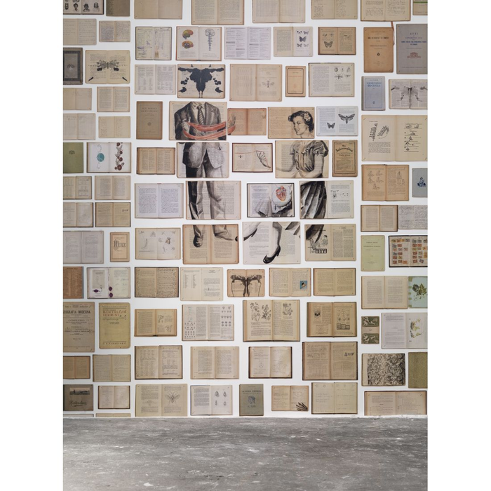 NLXL Biblioteca by Ekaterina Panikanova Non Woven Ψηφιακή Εκτύπωση