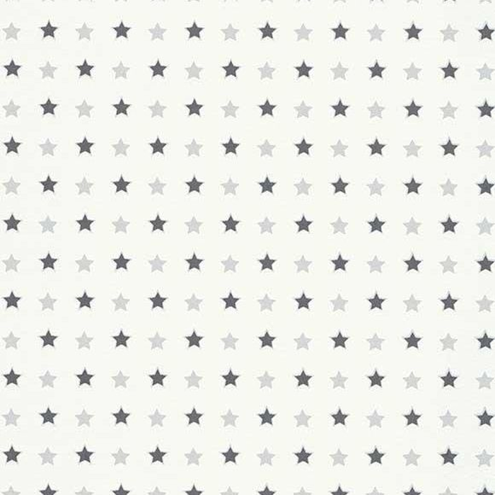 Erismann Freestyle Stars Wallpaper