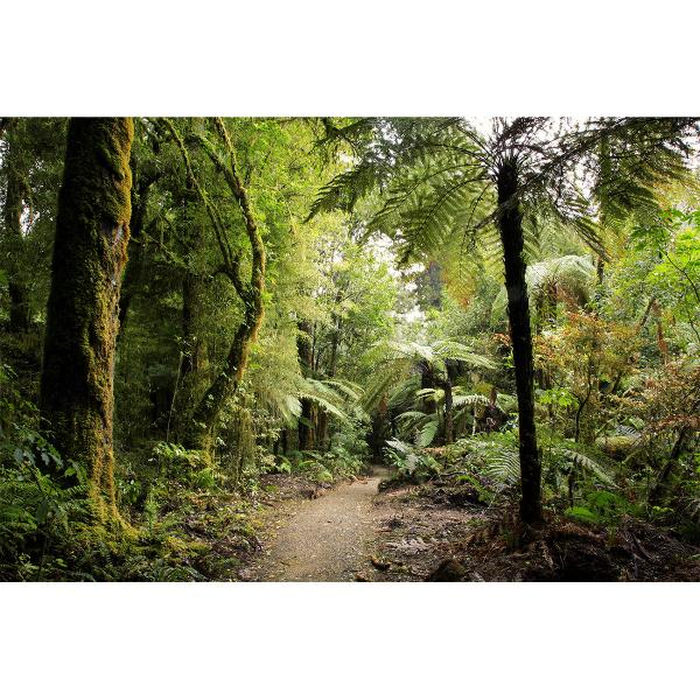 Ψηφιακή Εκτύπωση σε Καμβά 95Χ65 , All Around Deco