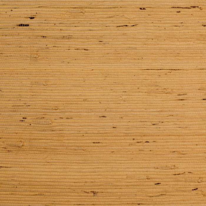 Rodeka Savanna  Wallpaper