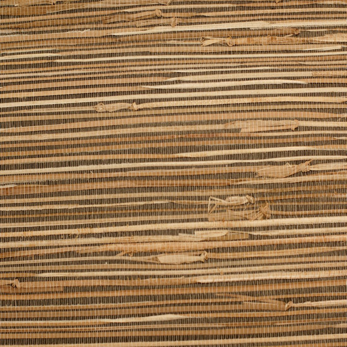 Rodeka Savanna  Wallpaper