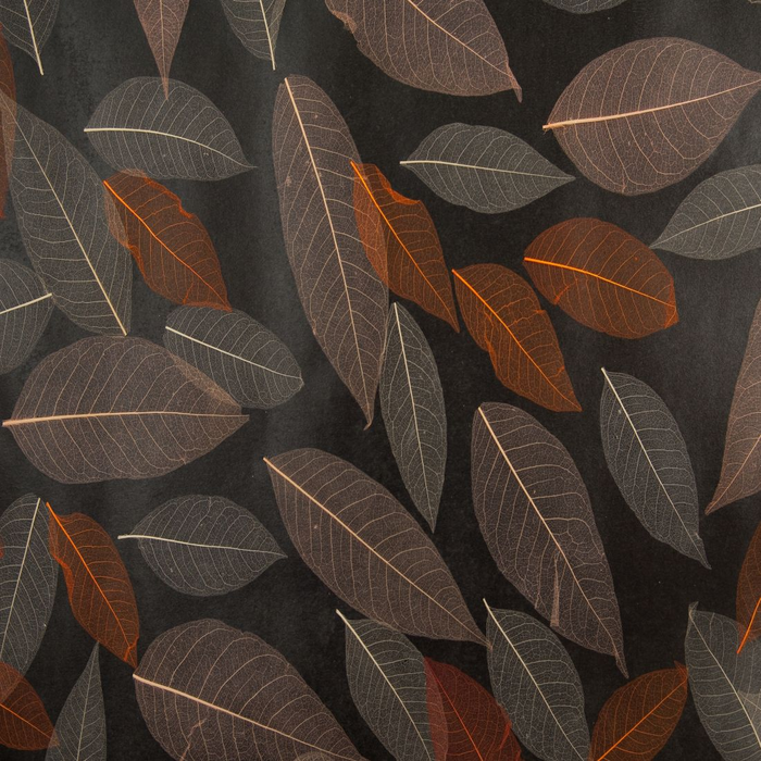 Rodeka New York  Wallpaper