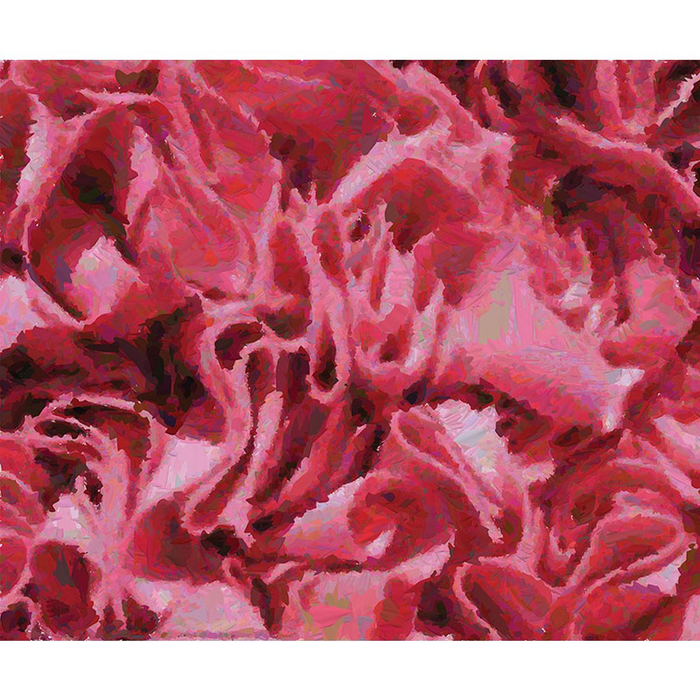 YoYo Designs MixMix II Non Woven Digital Print