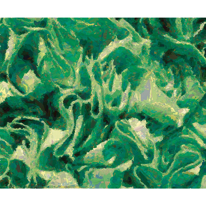 YoYo Designs MixMix II Non Woven Digital Print