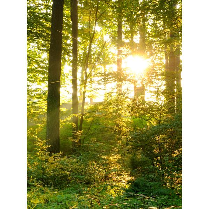 Ψηφιακή Εκτύπωση σε Καμβά 30X40, All round Deco