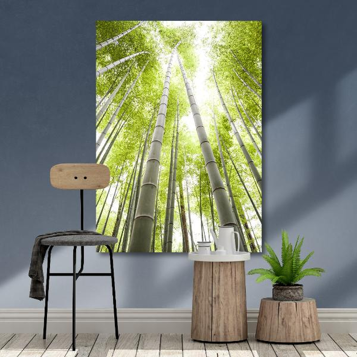 Ψηφιακή Εκτύπωση σε Καμβά 45X65, All round Deco