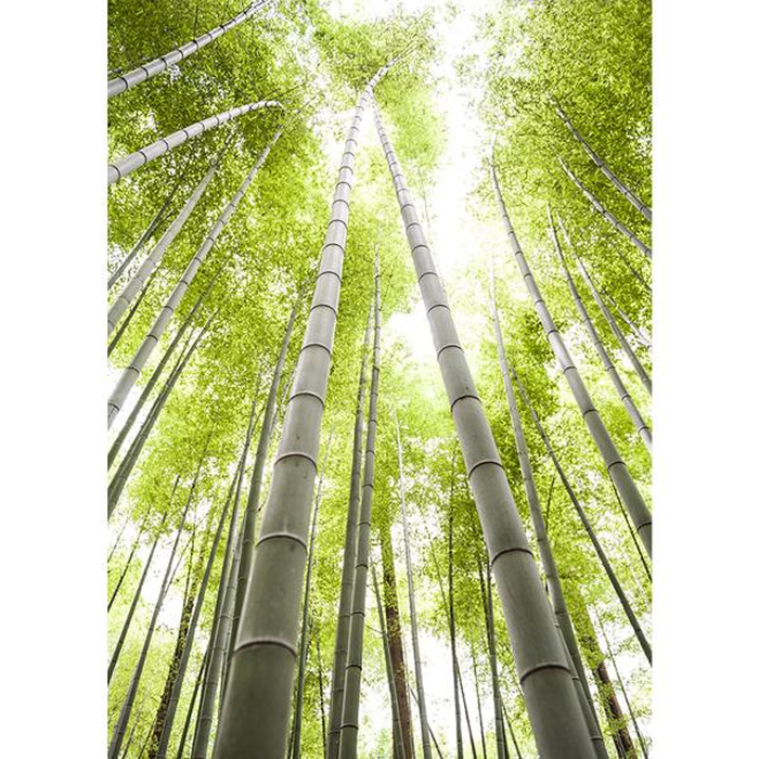 Ψηφιακή Εκτύπωση σε Καμβά 30X40, All round Deco