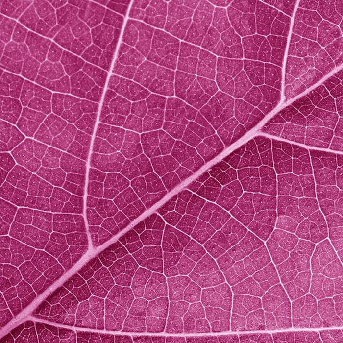 Ψηφιακή Εκτύπωση σε Καμβά 40Χ40 , All Around Deco