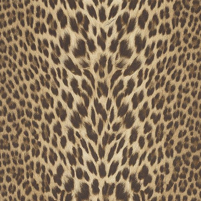 Ταπετσαρία Τοίχου Roberto Cavali Home No.9