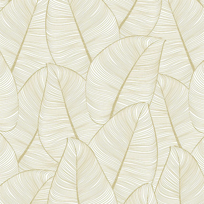 Ταπετσαρία Τοίχου Graphite, Casa Mia