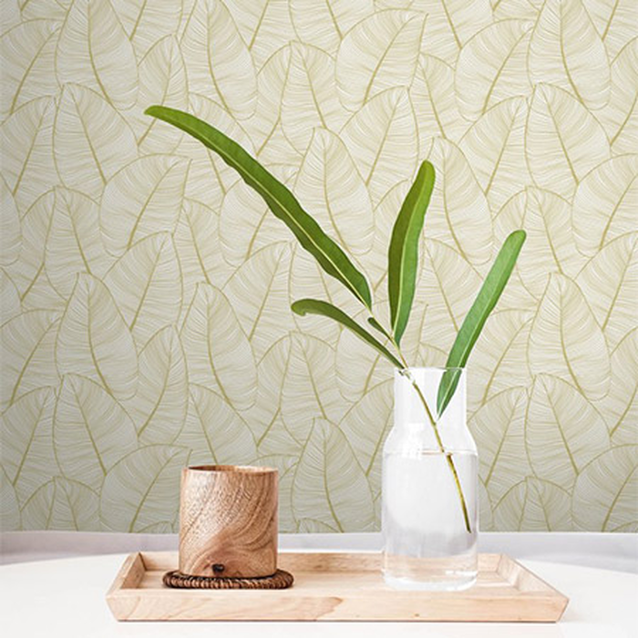 Ταπετσαρία Τοίχου Graphite, Casa Mia