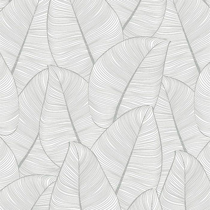 Ταπετσαρία Τοίχου Graphite, Casa Mia